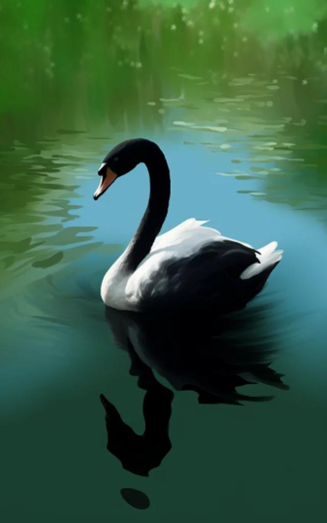 The Black Swan